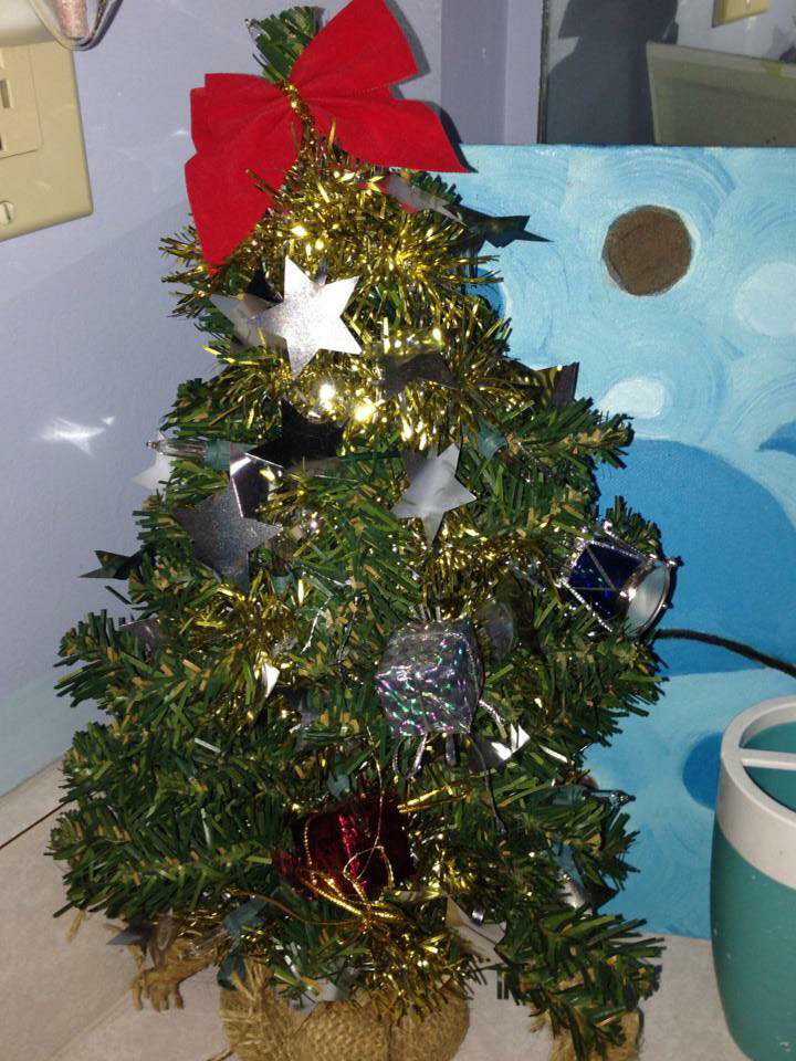 The little tree that started it all!